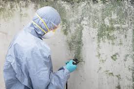  North Bethesda, MD Mold Remediation Pros